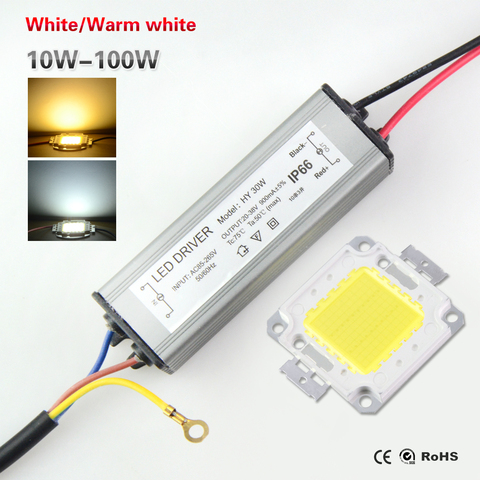 LED Chips 10W 20W 30W 50W 100W High Power COB LED lamp Chip Bulb with LED Driver For DIY Floodlight Spot light Lawn ► Photo 1/6