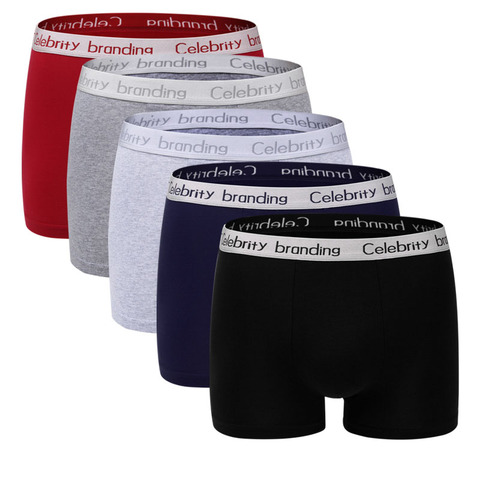 LANGSHA Boxer Shorts Mens 4PCS\LOT Underwear Soft Boxers Cotton Boxer Men Solid Boxer Plus Size Comfort Mens Underwear Branding ► Photo 1/6