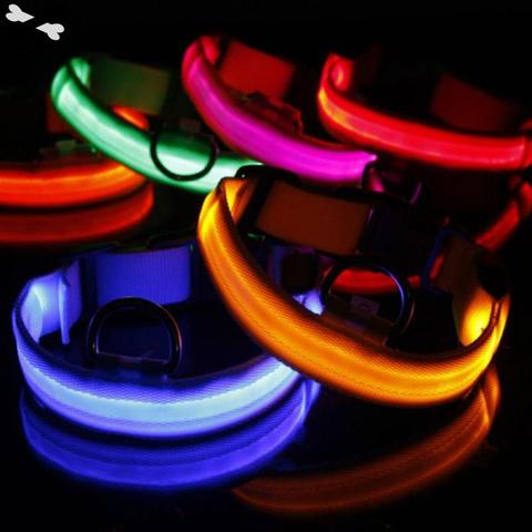 Dog Collar Nylon LED Pet Night Safety Flashing Glow In The Dark Dogs Leash Neck Band Luminous Fluorescent Collars Pets Supplie23 ► Photo 1/5