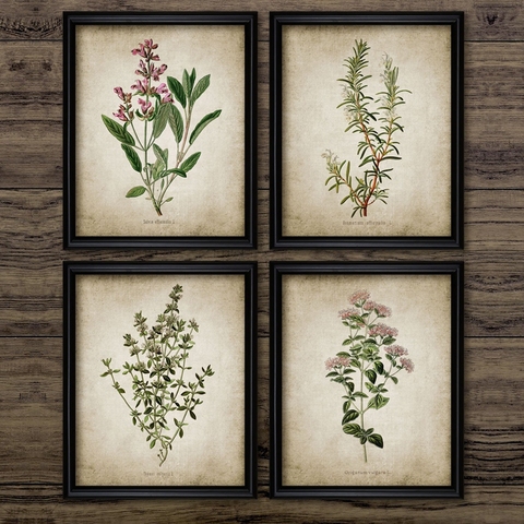 Vintage Herb Art Canvas Poster And Prints , Oregano Rosemary Sage Thyme Canvas Painting Retro Wall Pictures Home Art Wall Decor ► Photo 1/4