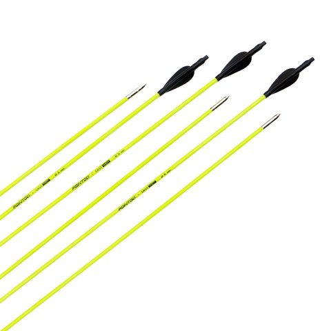 6/12/24PCS Fiberglass Arrows  Archery Spine 700 Length 31'' With Bullet Point For  Recurve Bow Shooting ► Photo 1/6