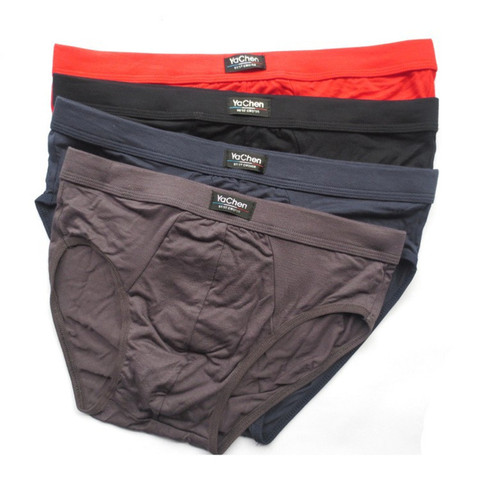 Men briefs 5pcs/lot Underwear men's soft shorts Comfortable Bamboo