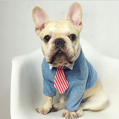[MPK Cat Ties] Cute Pet Ties, Dog Collar Cat Collar, Pet Bow Ties, Dog Tie, Smart-Looking Pet Costume ► Photo 1/6