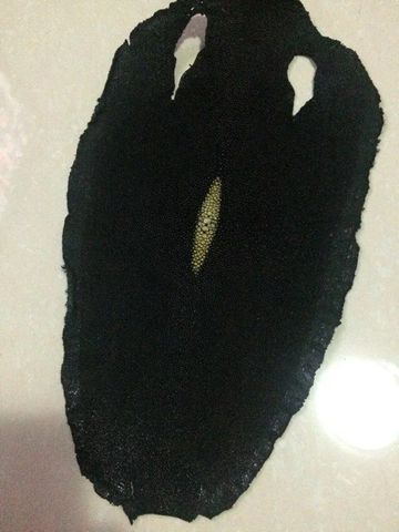 Standard Genuine Black Color Stingray Skin for Bag Purse Watchband DIY ► Photo 1/1