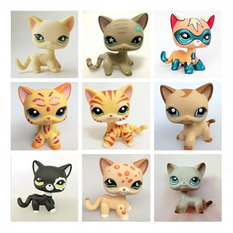 Really Rare Pet Shop Lps Toy Action Standing Collection Short Hair Cat White Pink Black Orange Tiger Cat Lps Dog Dachshund Colli Price History Review Aliexpress Seller Peppa Really Rare Pet Shop Lps Toy Action Standing Collection Short Hair Cat White Pink Black Orange Tiger Cat Lps Dog Dachshund Colli Price History Review Aliexpress Seller Peppa