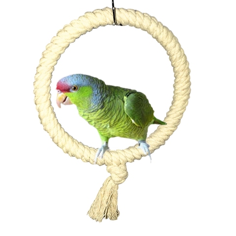 Parrot Rope Swing Standing Bar Pet Bird Chewing Climbing Ring Toy for Cage ► Photo 1/5