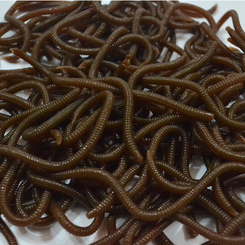 FISH KING 10pcs/lot 8cm Soft Bait Simulation Earthworm Bite Grub Soft Worm Specially Smell Lures Artificial Tackle ► Photo 1/6