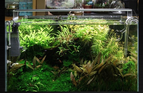 80cm 90cm 120cm Chihiros ADA style Plant grow LED light A series power saving adjustable aquarium fish tank Control - Price history & Review | AliExpress Seller - Aquarium Store | Alitools.io