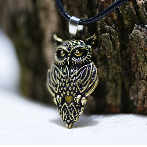 LANGHONG 1pcs Norse Cletics Owl Necklace for men and Girls Amulet Necklace Talisman ► Photo 1/6