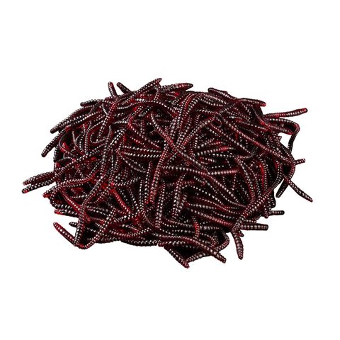 50pcs Smelly Earthworm Soft Lure 6cm 0.5g Red Worms Soft Bait Carp Fishing  Lure Artificial Bait Soft Fishing Lure - Price history & Review, AliExpress Seller - NewWay Store
