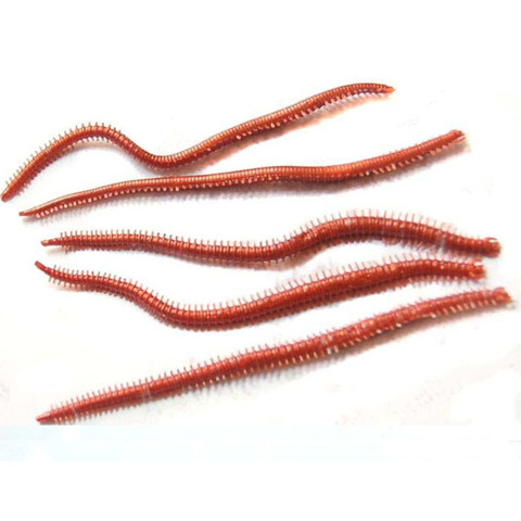 10pcs/lot Artificial Sea Worms 135mm Earthworm Soft Fishing Lures Soft Bait Lifelike Fishy Smell Lures Slatwater Sandworm ► Photo 1/3
