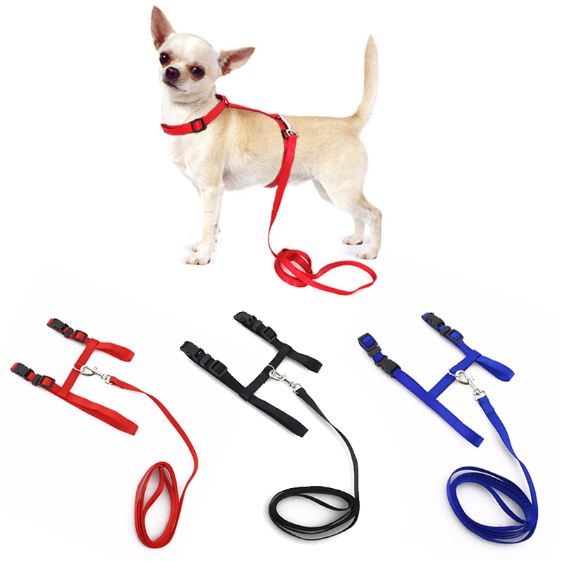 Small Pet Dog Harness And Leash Chihuahua Colors Nylon