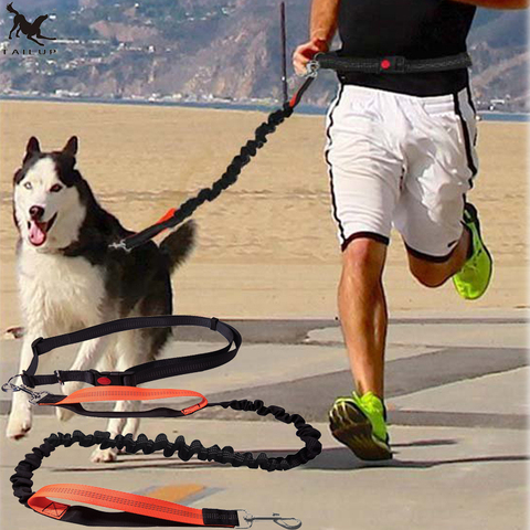 [TAILUP] Dogs Leash Running Elasticity Hand Freely Pet Products Dogs Harness Collar Jogging Lead and Adjustable Waist Rope CL153 ► Photo 1/6