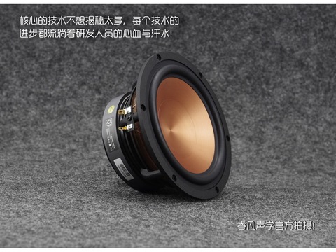 2PCS AIRS FR-65YL-M 6.5inch Midrange Speaker Driver Unit Aluminum Ceramic Mixed Cone Casting Aluminum Frame 4/8ohm 100W D175mm ► Photo 1/5