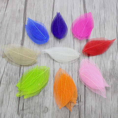 Lucia Crafts 36pcs  6.5*3cm multicolor for choose Natural skeleton leaves for DIY C0704 ► Photo 1/6