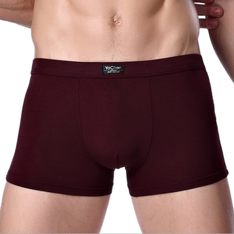 Bamboo Male Panties Sexy Underwear Men Cuecas Boxer New Fashion Boxer Shorts Mens Underware 4pcs/lot Free Shipping ► Photo 1/2