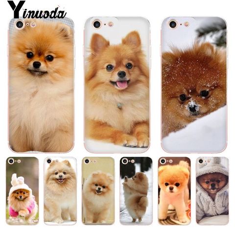 Yinuoda Pomeranian dogs dog Colorful Cute Phone Case for iPhone 8 7 6 6S Plus X 10 5 5S SE XR XS XSMAX11 11pro 11promax ► Photo 1/6