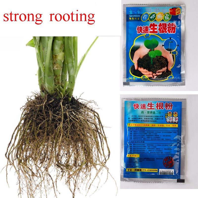 10Pcs Fast Rooting Powder Hormone Growing Root Seedling Germination Seed Cutting 