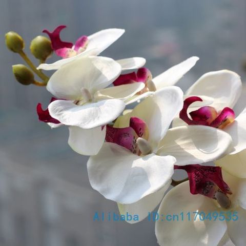 1 Stem Silk Flower Artificial Moth Orchid Butterfly Orchid for new House Home Wedding Festival Decoration 6 types 12 Colors F152 ► Photo 1/6