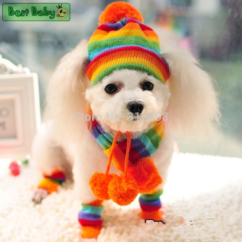 Winter Pet Puppy Accessories For Dogs Knitted Striped Hats Scarf Socks Little Small Big Animals Yorkshire Chihuahua Cat Products ► Photo 1/6