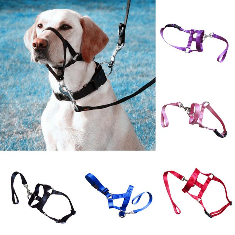 Nylon Dogs Head Collar Dog Training Halter Blue Red Black Colors S M L XL XXL Sizes ► Photo 1/6