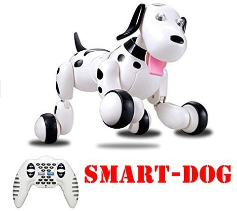 777-338 Birthday Gift RC zoomer dog 2.4G Wireless Remote Control Smart Dog Electronic Pet Educational Children's Toy Robot toys ► Photo 1/6