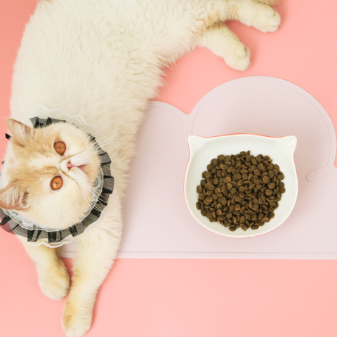Pet Placemat Cat Dog Food Mat Cat Feed Mat Dog Feeder Pad Cats