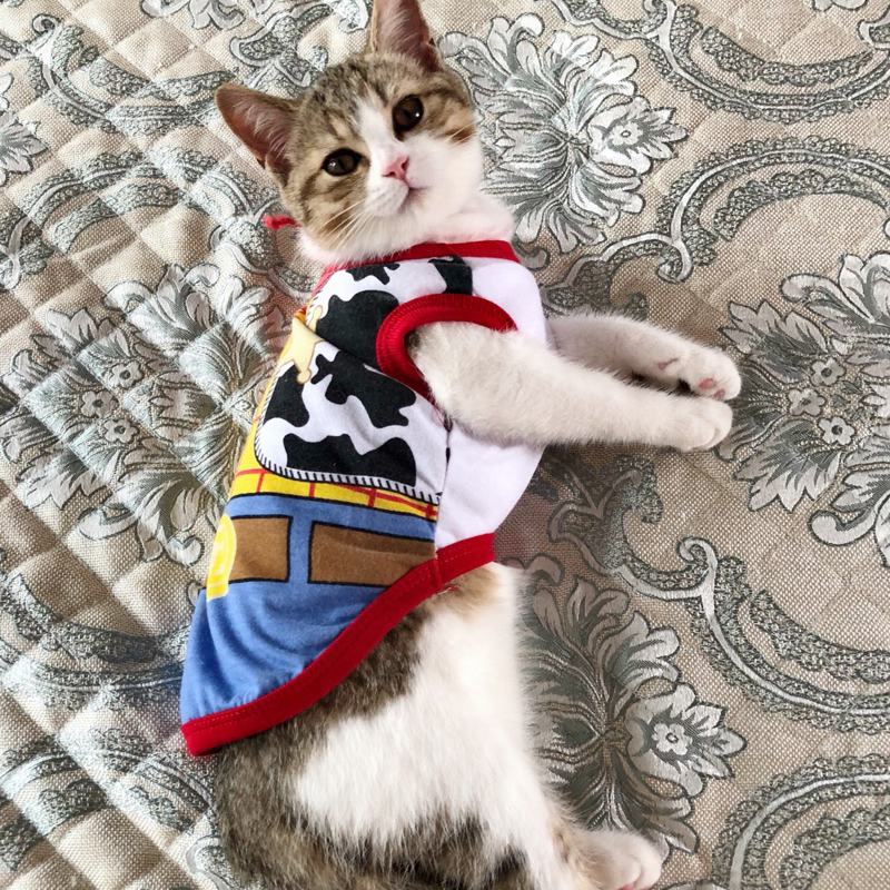 Striped Cat Clothes Spring Summer Pet Clothing for Small Cats Dogs Cat  Costumes Soft Kitten Kitty Dress Pet Puppy Outfit
