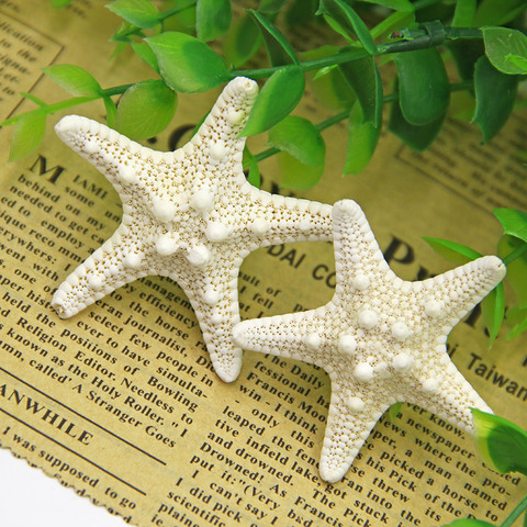 Sea Decoration Decoration, Natural Starfish Shells