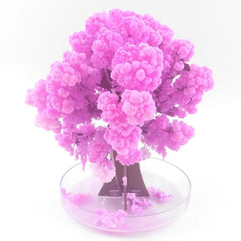 90mm H Visual Magic Artificial Sakura Trees Decorative Growing DIY Paper Tree Gift Novelty Baby Toy Flower Hot Exploring Science ► Photo 1/6