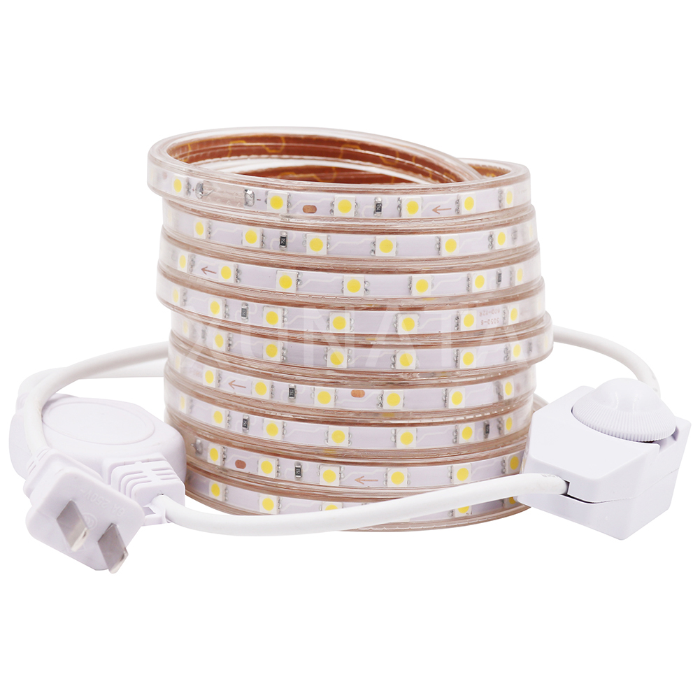5M LED Strip Light Flexible Tape Rope Lamp 6500K Outdoor Lighting 110V US Plug 