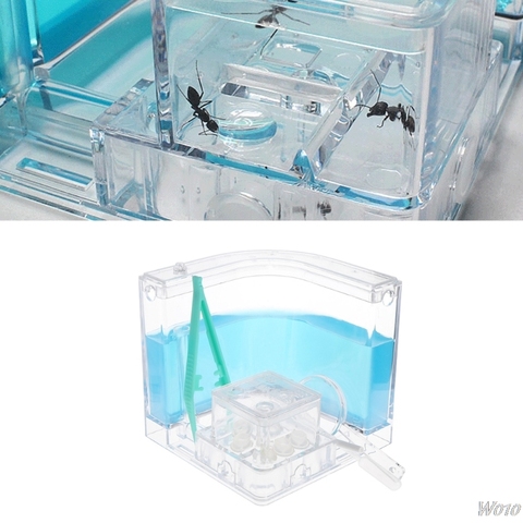 Ant Farm Gel Maze 3D Educational Nursery Live Feeding System Novelty Habitat New-W110 ► Photo 1/6
