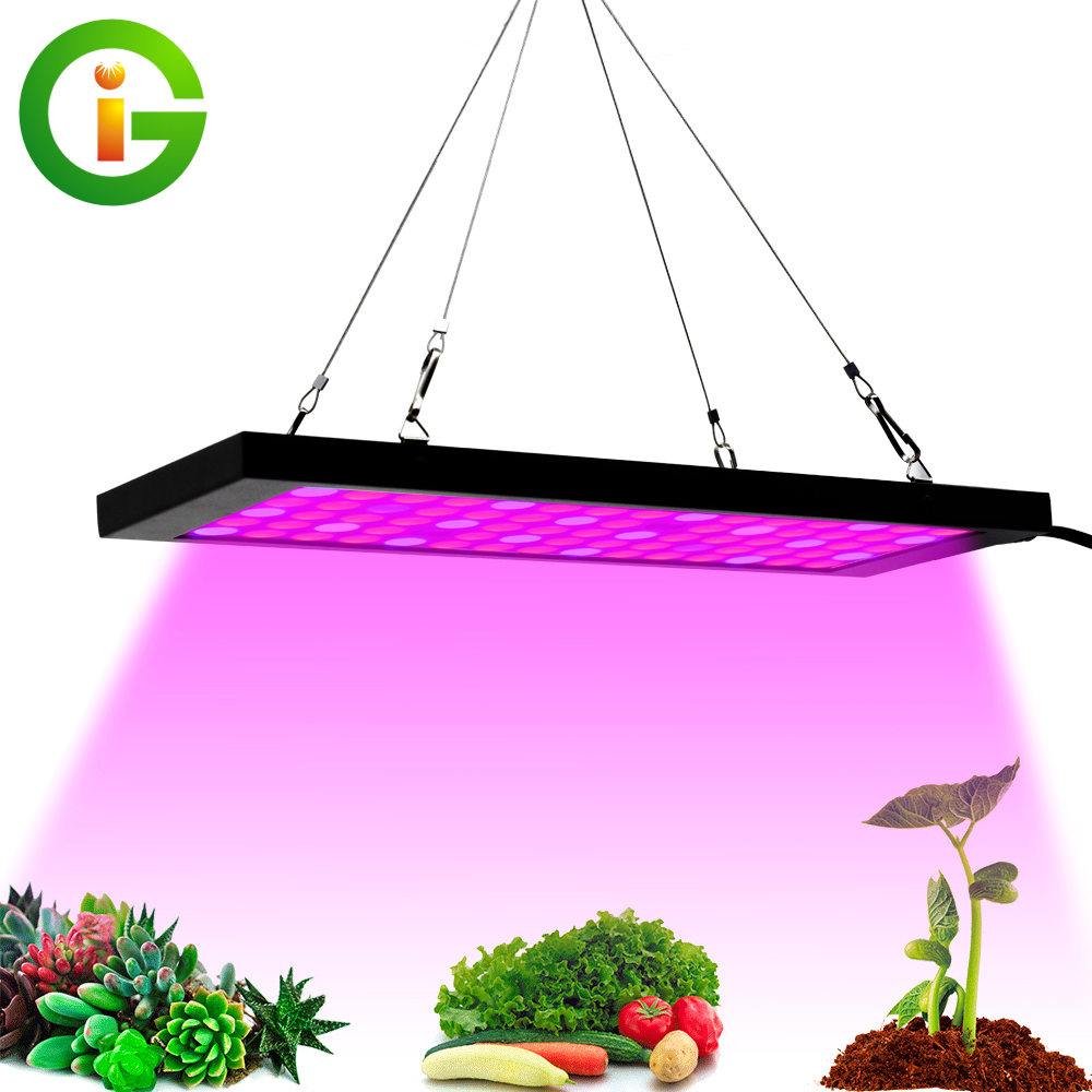 Grow Light for Indoor Plants Clip Lamps IR & UV Red and Blue Spectrum for Plant 