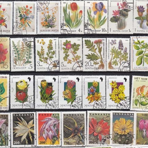 25Pcs/Lot Random Flowers All Different From Many Countries NO Repeat Unused Postage Stamps for Collecting ► Photo 1/6