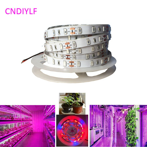 New 5730/5630 Plant Grow SMD LED Strip Light  5m/20W  12V 300LED 5R1B  Non-Waterproof Fast Shipping ► Photo 1/2