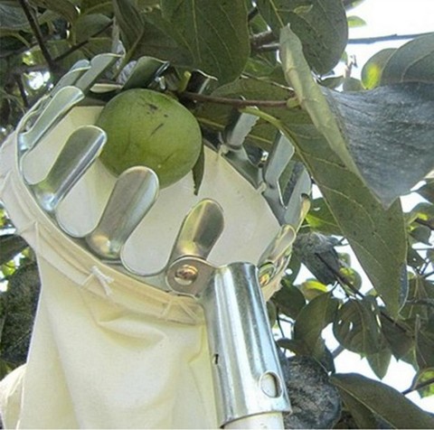 Metal Fruit picker Convenient Horticultural Fruit Picker Gardening Apple Peach Picking Tools ► Photo 1/3