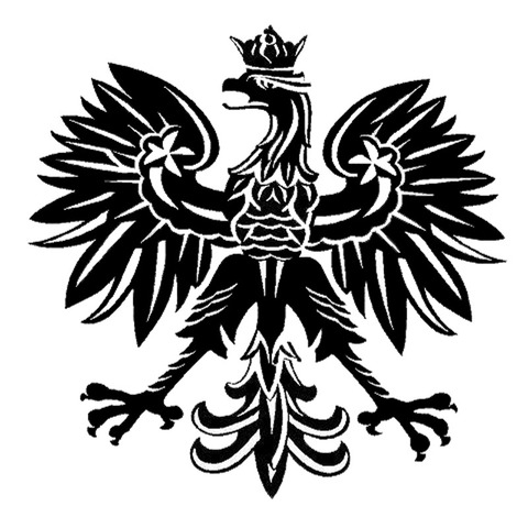 15.2*15.1CM Polish Eagle Poland Symbol Fashion Car Stickers Animal Pattern Car Styling Decal Black/Silver C9-2158 ► Photo 1/2