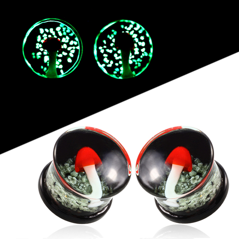 1Pair Pyrex Glass Ear Plugs and Tunnels Earring Gauges Expander Stretcher Cartilage Tragus Plugs Tunnel Piercing Body Jewelry ► Photo 1/6