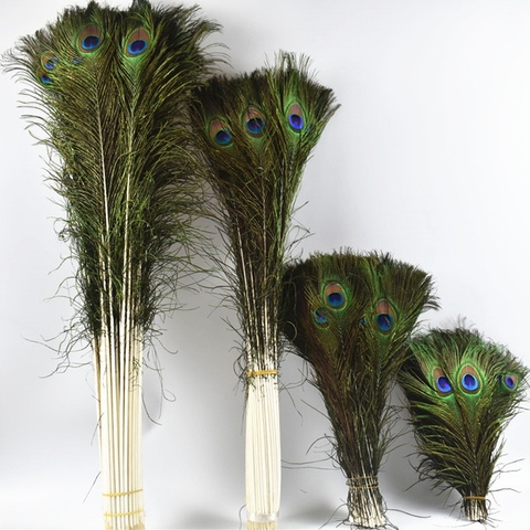 50 Pcs/Lot Natural Real Peacock Feathers For Crafts 25-80cm dress is with  Home Hotel decor room vase Wedding decoration plumes