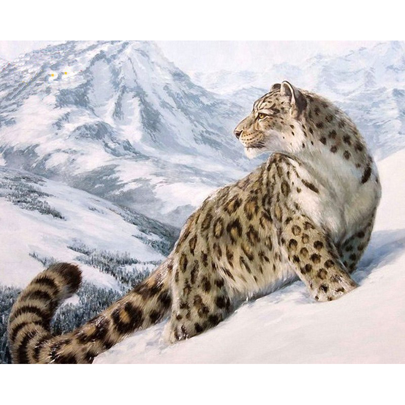 Unframed Snow Leopard Animals Diy Digital Painting By Numbers Kits Drawing Modern Wall Art Canvas For Home Decor Artwok Alitools - Snow Leopard Home Decor