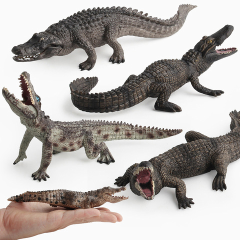 9 Kidns Simulation Wild Crocodile Figure Collectible Toys  Crocodile Wild Animal Action Figures Kids Animal Sandtable Scene Toy ► Photo 1/6