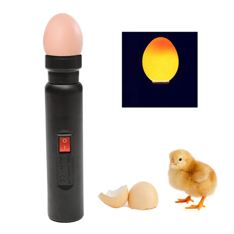 Bright Cool LED Light Egg Candler Tester for Chicken Quail Poultry Incubator Brooder Hatching Egg Tester Quality Handy Tool ► Photo 1/6