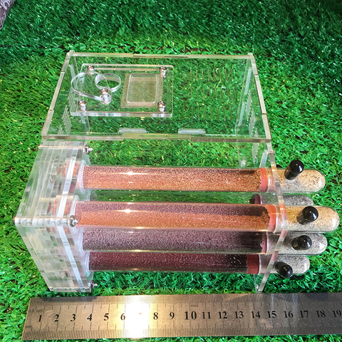 DIY Acrylic Glass Ant Farm with Feeding Area Ant Nest Ants House Factory Workshop Insect 6 Test Tubes Pet Anthill 15*14.5*8.5cm ► Photo 1/6
