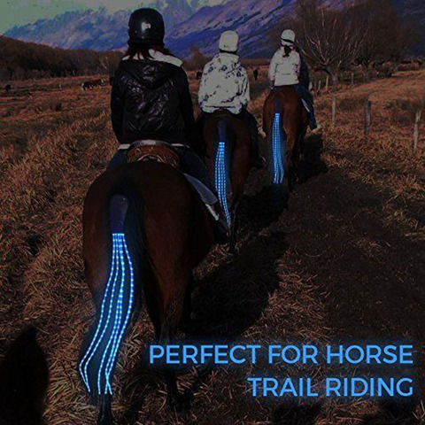100cm Long LED Horse Riding Tails Decoration Luminous Tubes Horses Riding Equestrian Saddle Halters Horse Care Products ► Photo 1/6