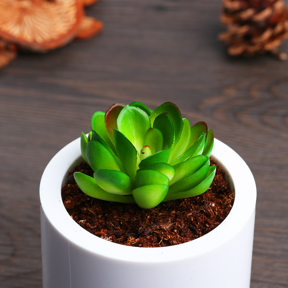 Mini Artificial Succulents Plants Fake Succulent Bonsai  Home Office Decor 