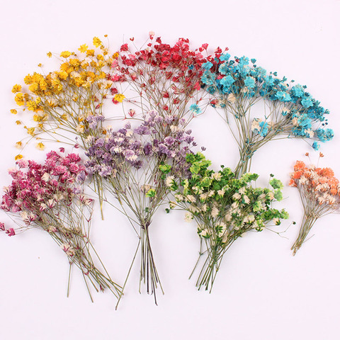24PCS,Pressed Dry Babysbreath,Dyeing Flower Leaf Petals for DIY Photo Frame Bookmark Gift Card,Flores secas Jewelry Facial Decor ► Photo 1/6