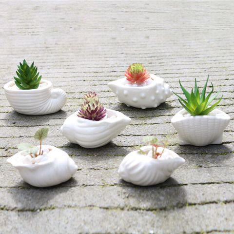 6pcs/set Mini White Small Flowerpot shell Shape Ceramic Succulent Plant Pot Holder Fairy Garden Cactus Flower Pots Planter Home ► Photo 1/5