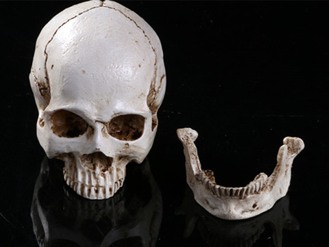 Skeleton human skull ashtray Home Decor Skull Ghost Evil Skeleton Head Resin Figurine Halloween ► Photo 1/3