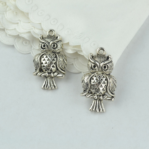 10pcs alloy Tibetan Silver Plated owl Charms Pendants for Jewelry Making DIY Handmade Craft 31*17mm 2156 ► Photo 1/2