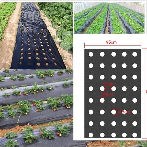 5Holes 95cm*50m 0.02mm Black Garden Vegetable Membrane Agricultural Plants Mulching Seeding Plastic Perforated PE Film ► Photo 1/6